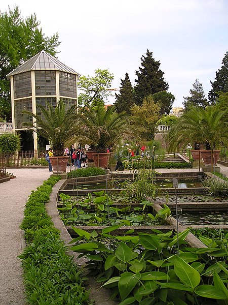 Orto botanico di Padova- vasca- ambiente acqua dolce- piante