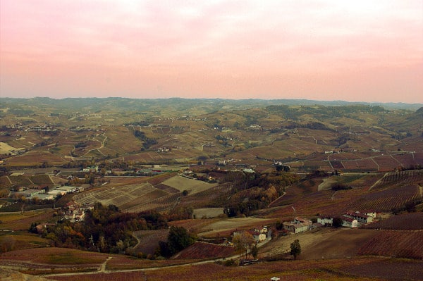What to see in La Morra-Belvedere-panorama-Langhe-Viti