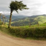 paesi più sostenibili del mondo-costa rica-paesaggio-albero-verde-jpg