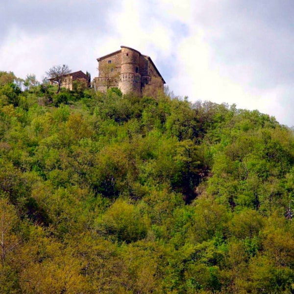 Rocca di aries- Anello di Montone- Valle del Carpina- alberi-fortezza