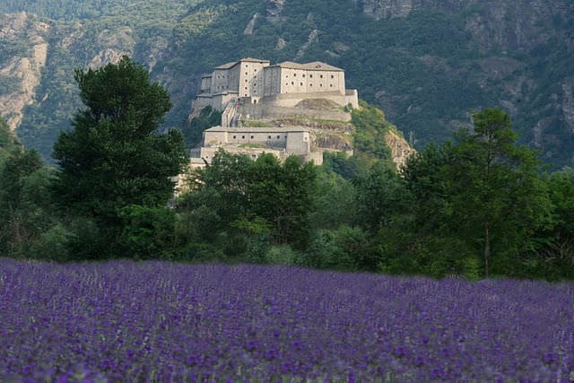 Forte di Bard- Fortezza-montagna- fiori viola
