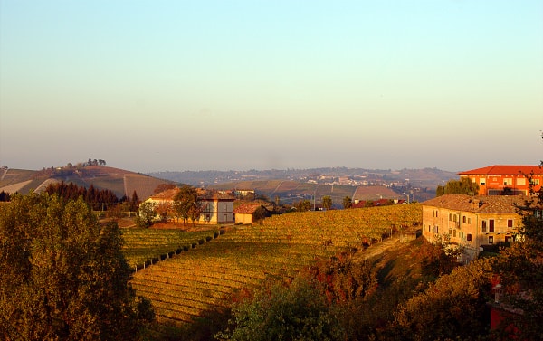 Cosa vedere a Neive e dintorni- panorama-Langhe-vitigni