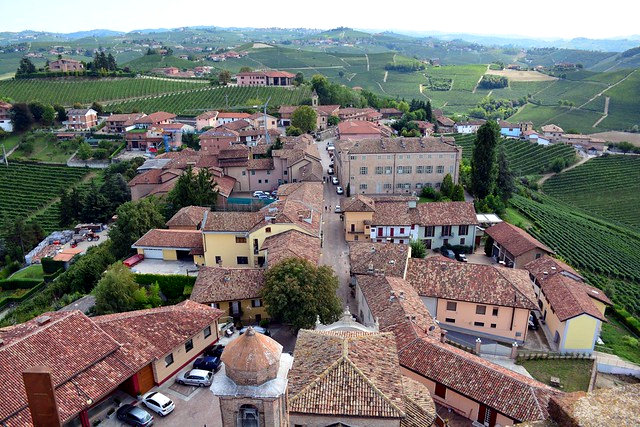 Barbaresco-Medieval Tower- panorama