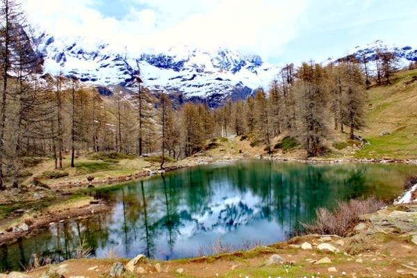 Cosa vedere nei dintorni di Aosta- Lago Blu- Cervinia- Cervino- alberi