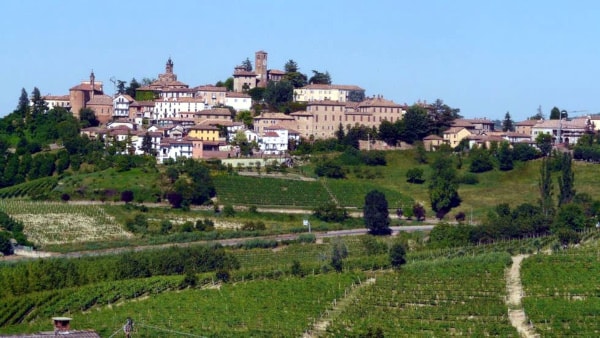 Cpsa vedere a Neive e dintorni- Panorama- vitigni-