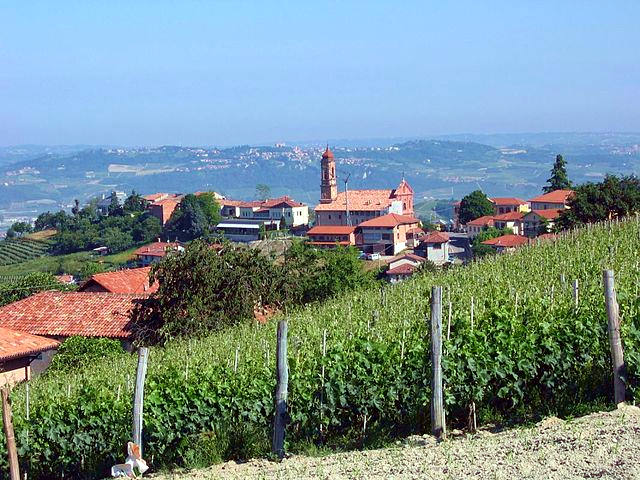 Panorama of treiso-vineyards-church-Langhe