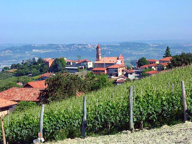 Panorama di treiso-vigneti-chiesa-Langhe