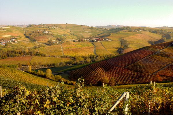 Cosa vedere a Neive e dintorni- Barbaresco- vitigni- autunno-panorama