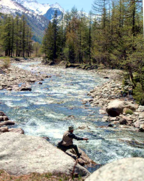 Val Veny- Dora di Veny- Torrente- Monte Bianco- Courmayeur- pescatore alberi