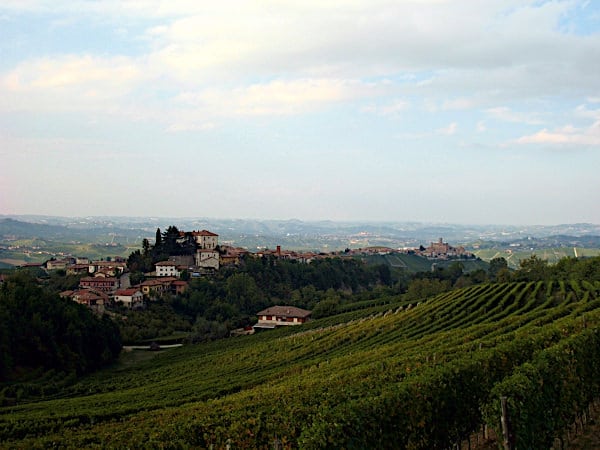 Cosa vedere a Monforte d'Alba- Vigneti- Perno- sentiero S1 di Monforte d'Alba