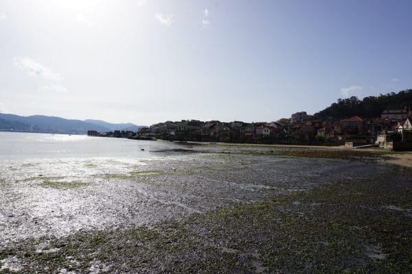 Portuguese Spiritual Way of Santiago (Redondela-Armenteira)