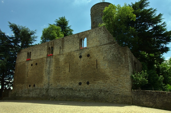 Cosa vedere a Roccaverano-Castello-Torre Circolare-