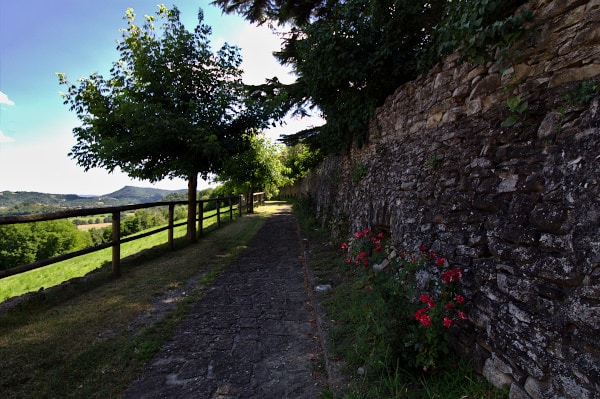 Cosa vedere a Mombaldone- mura medievali-rose