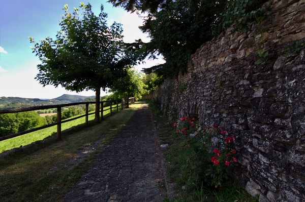 What to see in Mombaldone - medieval walls - roses