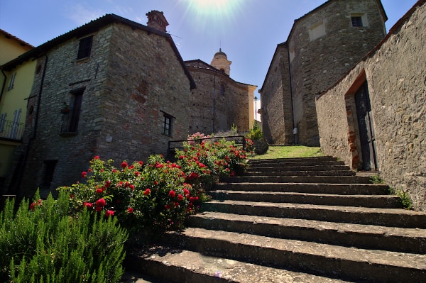 What to see in Mombaldone-Stairway-flowers-church