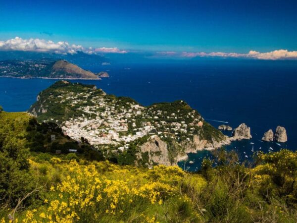 Fioritura delle fresie-Capri-Valle Cetrella-