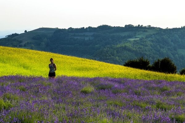 Fioritura della Lavanda- Sale San Giovanni- Bassa Langa-Cuneo