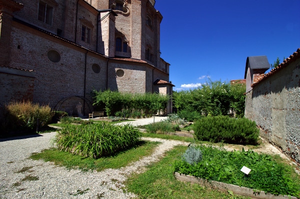 Ancient Somaschi Garden - Sanctuary of the Madonna del Popolo - flower beds - plants