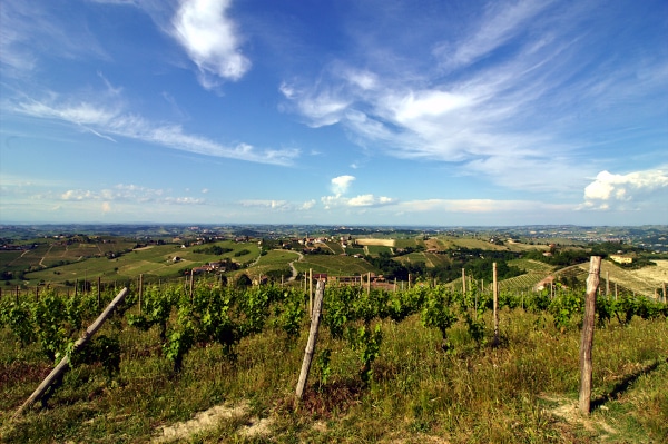 Panorama-contini tower-vineyards-Monferrato-panorama