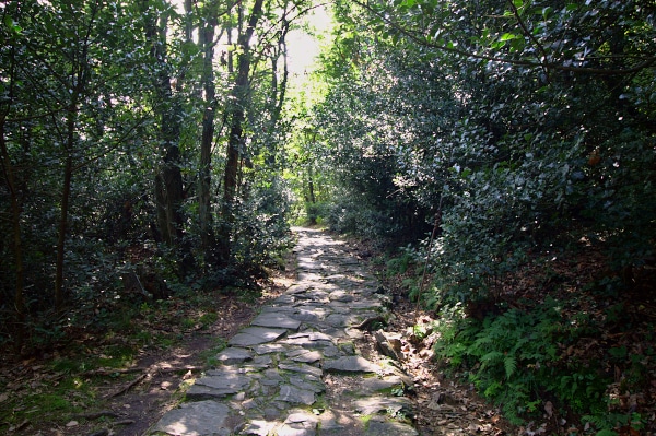 Cosa fare a Mergozzo, lago, sentieri e..-Sentiero Azzurro-Bosco-Mergozzo Montorfano-