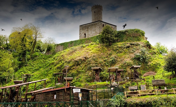 Garden-of-Tugnin-Giacomo-Timossi-exhibition-of-wooden-sculptures