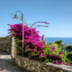What to see in Verezzi-alley-bougainvillea-flowers-sea