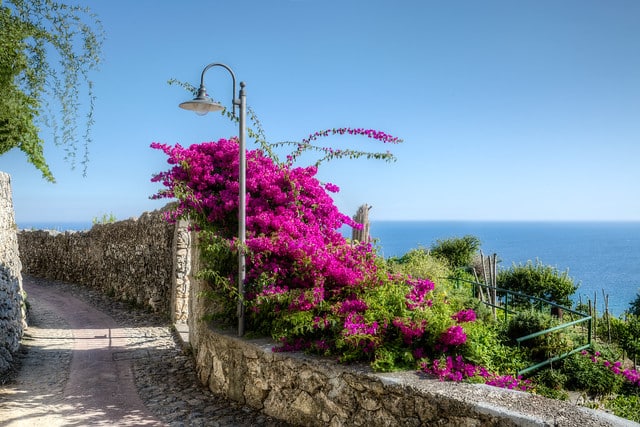 What to see in Verezzi-alley-bougainvillea-flowers-sea