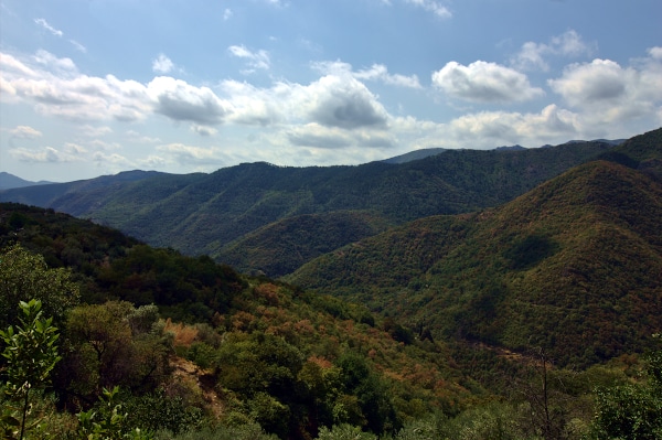 panorama of the Neva valley-albenga-monti-boschi hinterland