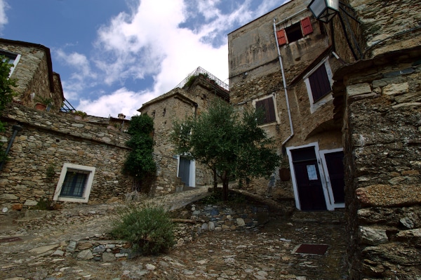 Stone houses-olive tree-Ligurian hinterland village