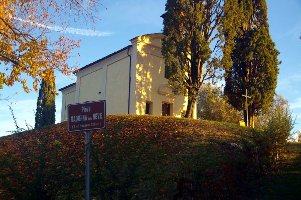 What to see in Cocconato - the Parish Church of the Madonna della Neve - trees