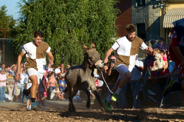 Donkey Palio-Contrade-public-race-re-enactment