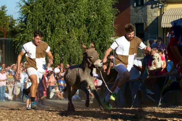 Palio degli Asini-Contrade-corsa-pubblico-rievocazione