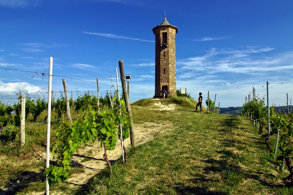 Itinerari Tra langhe Roero e Monferrato- Torre dei contini-Canelli- panorama