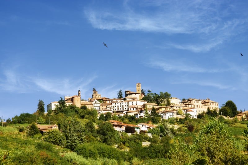 Cosa vedere nei dintorni di Alba-Panorama-neive