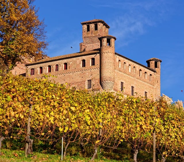 Castello-di-Grinzane-Cavour-Vigneti-Barolo